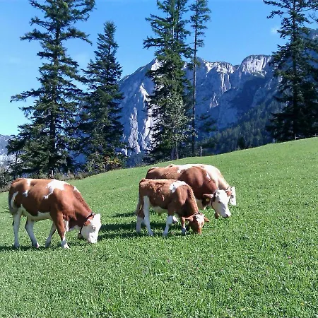 Apartment Seraphine Und Theresia Grundlsee
