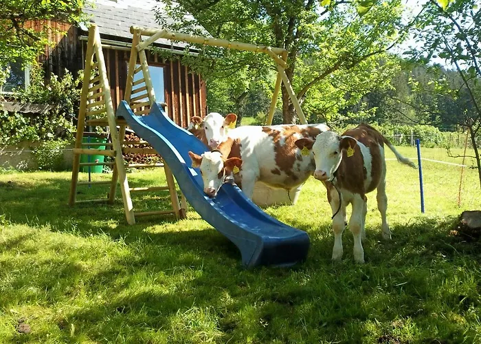 Seraphine Und Theresia *