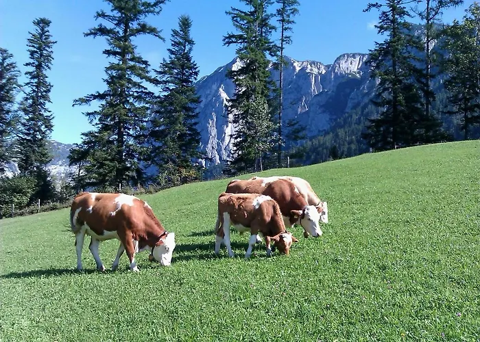 Apartment Seraphine Und Theresia Grundlsee